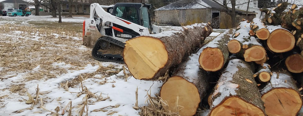 Stacked Logs